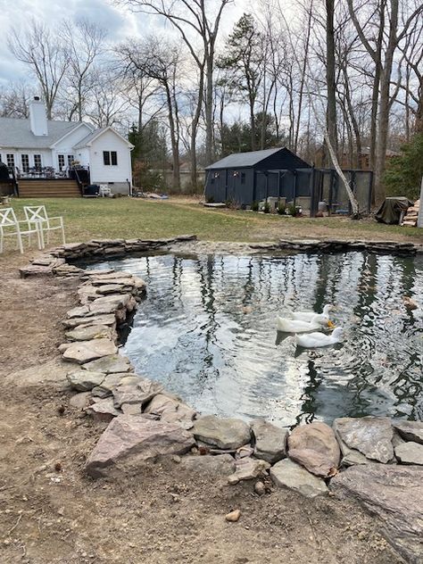 Backyard Duck Pond Duck House By Pond, Duck Pond Ideas Backyards, Large Duck Pond, Boat Duck Pond, Farm Duck Pond, Luxury Duck Coop, Home Duck Pond, Large Duck House, Duck Habitat Diy