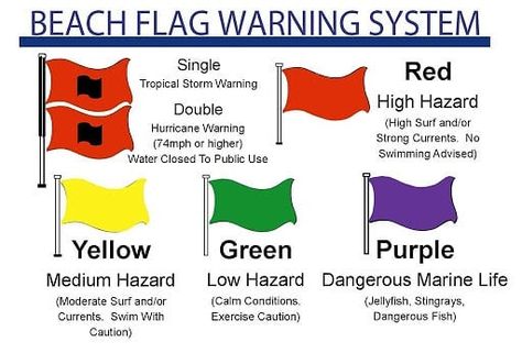 Visit Surfside Beach TX on Instagram: “Today is a Yellow Flag day. That means you should swim with caution. Non-swimmers and children should always stay close to shore. Remember…” Dangerous Fish, Beach Safety, Swimming Safety, Lifeguard Stands, Birth Colors, Beach Flags, Navarre Beach, Pensacola Beach, Beach Color