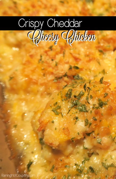 Crispy Cheddar Cheesy Chicken Crispy Cheddar Chicken, Cheesy Baked Chicken, Cracker Chicken, Cream Sauce For Chicken, Cheddar Chicken, Queso Cheddar, Chicken Bake, Cheese Chicken, Chicken Tender Recipes