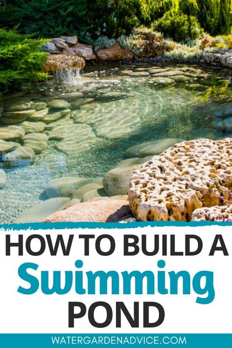 How To Create A Natural Swimming Pond - Water Garden Advice Swimming Pool Pond, Small Backyard Design Ideas, Natural Swimming Ponds, Backyard Design Ideas, Diy Swimming Pool, Swimming Pond, Natural Pond, Natural Swimming Pools, Natural Swimming Pool