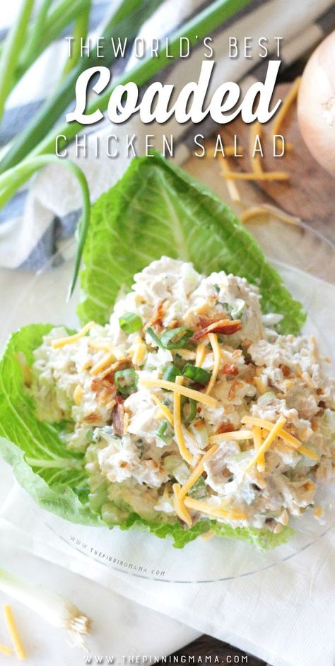 Loaded Chicken Salad, Creamy Chicken Salad, Best Chicken Salad Recipe, Loaded Chicken, Cream Chicken, Sour Cream Chicken, Chicken Salad Recipe, Chicken Salad Recipes, Creamy Chicken