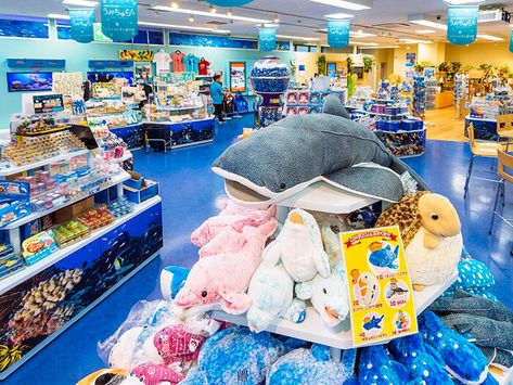 Okinawa Churaumi Aquarium Gift shop UMICHURARA Kokusai St. Branch | Okinawa Traveler Churaumi Aquarium, Aquarium Gift Ideas, Okinawa Aquarium, Aquarium Gift Shop, Kids Aquarium, Aquarium Shop, Aquarium Store, Marine Gifts, Mini Aquarium