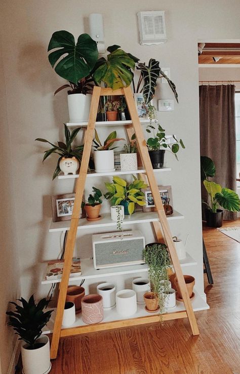 Plants Holder Indoor, Diy A Frame Plant Stand, A Frame Plant Stand Diy, A Frame Shelf Diy, Diy A Frame Shelf, Living Room Plant Stand, Plants Stands Indoor, Diy Plant Shelves Indoor, Plant Stand Diy Indoor