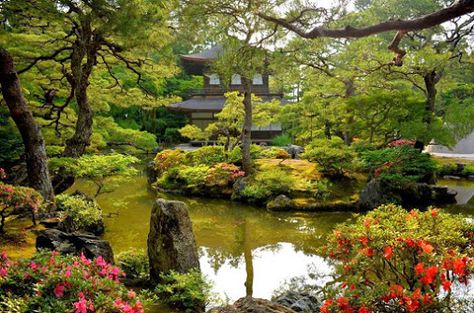 The colourful garden of Ginkakuji temple © George Mmath Ginkakuji Temple, Ginkakuji, Colourful Garden, Dreamy Places, Japanese Gardens, Colorful Garden, Japanese Garden, Interesting Art, Japanese Art