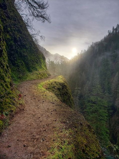 21 Jaw Dropping Trails to Hike in Oregon in 2021 | That Oregon Life Oregon In December, Enjoyable Exercise, Hikes Near Portland Oregon, Oregon Mountains Aesthetic, Living In Oregon, Oregon Coast Trail, Oregon Spring, Estacada Oregon, Hikes In Oregon