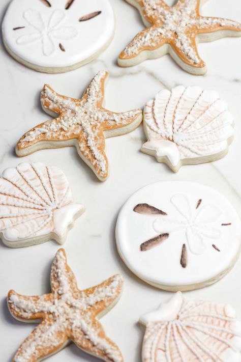 Sea Theme Cookies, Sea Shell Cookies Decorated, Beach Party Cookies, Starfish Cookies Decorated, Shell Cookies Decorated, Shell Birthday Cake, Beach Cookies Decorated, Shell Birthday Party, Coastal Cookies