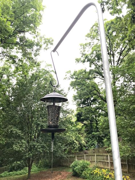 DIY Bird Feeder Pole for Under $5 Diy Bird Feeder Pole, Homemade Bird Feeder, Bird Feeder Hangers, Bird Feeder Stands, Bird Ideas, Make A Bird, Make A Bird Feeder, Bird Feeder Poles, Bird Feeding Station