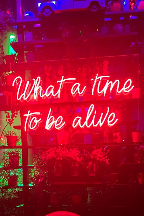 Inspirational quote
Neon sign What A Time To Be Alive, Club Promoter Aesthetic, Vip Club Aesthetic, Night Club Aesthetic Dark, Nyc Night Club, Beyoncé Bday, Nightclub Design Lighting, Neon Night Club, Club Aesthetic Night