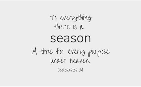 Seasons Life Quotes, This Season Of Life Quotes, Hard Seasons Of Life Quotes, New Season Of Life Quotes, Seasons Of Life Quotes, Bible Painting, Biblical Wisdom, Seasons Of Life, Church Decor