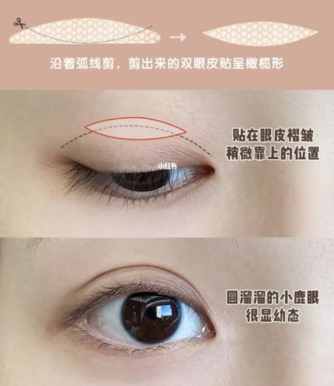 How To Make Double Eyelid, Double Eyelid Eyeshadow, How To Use Eyelid Tape Hooded Eyes, Double Eyelid Tape Tutorial, Double Eyelids Korean, Eyelid Tape Tutorial, Eyelid Tape Hooded Eyes, Types Of Eyelids, Eyelid Types