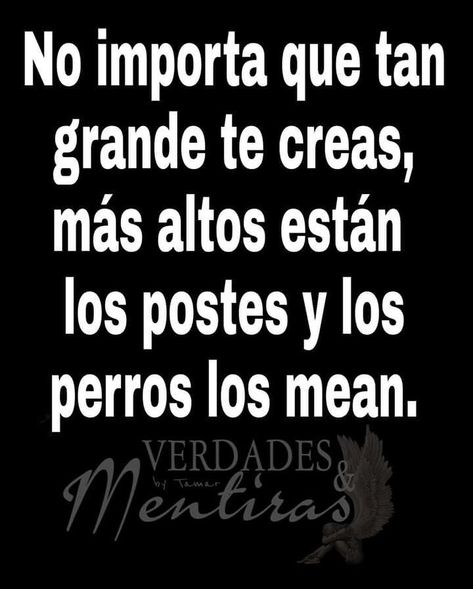 Buenos días. #felizlunes😘 #felizsemana😘 #yalosabes✌😎 #bendiciones🙏 Tattoo Lettering Fonts, Funny Pix, Positive Phrases, Warrior Quotes, Prayer Verses, People Quotes, Lessons Learned, Lettering Fonts, Mind Body