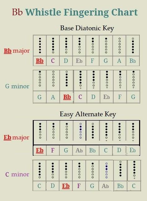 'Bb' Tin Whistle: 4 Easiest Keys Tin Whistles, Native American Flute Music, Flute Lessons, Recorder Songs, Bagpipe Music, Wooden Musical Instruments, Native Flute, Reading Sheet Music, Native American Music