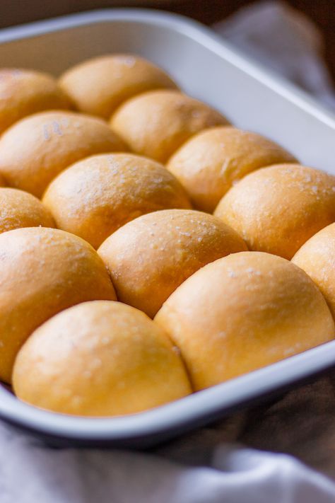 Sourdough Sweet Potato Rolls Sweet Potato Sourdough Rolls, Sourdough Sweet Potato Rolls, Trad Life, Potato Dinner Rolls, Turkey Sandwich Thanksgiving, Sourdough Dinner, Sourdough Dinner Rolls, Healthy Practices, Sweet Potato Puree