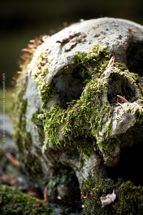 Mossy Skull, Orc Aesthetic, Druid Aesthetic, Goblin Aesthetic, Dnd Aesthetic, Creepy Nature, Bog Body, Dnd Druid, Skulls Flowers