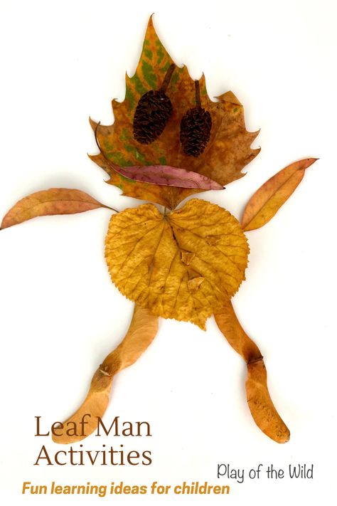 Enjoy these fun Leaf Man activities to make learning fun. Please see PlayoftheWild.com. #designandtechnology #dt #eyfs #preschool #kindergarten #year1 #firstgrade #looseparts #leaves #leafactivities #leafman #outdoor #outside #literacy #learning #teaching #leafactivities Leaf Man Activities, Leaf Lessons, Thanksgiving Crafts Preschool, Leaf Man, Autumn Leaves Art, Fall Preschool Activities, Eyfs Activities, October Crafts, Man Crafts