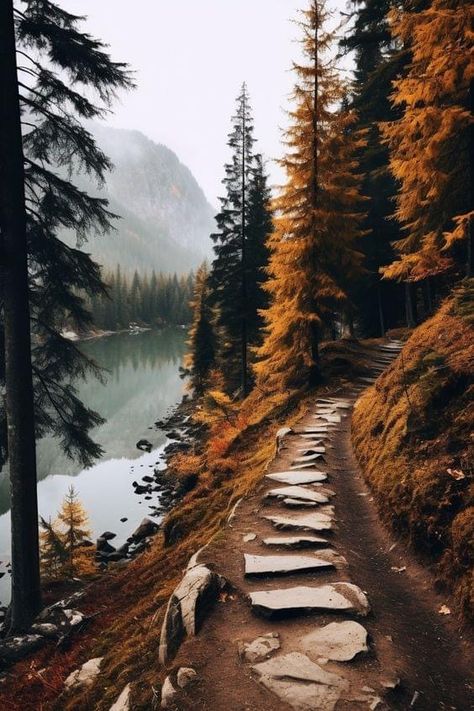 숲 사진, Pretty Landscapes, Autumn Scenery, Fall Pictures, American Beauty, Autumn Aesthetic, Fall Wallpaper, Nature Aesthetic, Autumn Inspiration