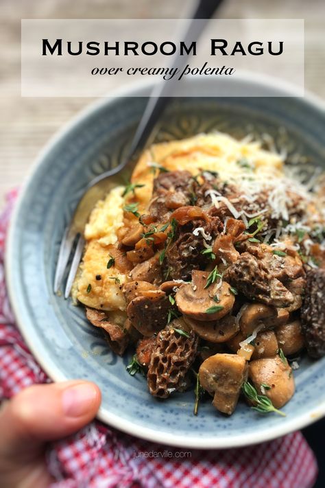 Can't wait to try this. Beef Ragu And Polenta, Veggie Spaghetti Sauce, Mushroom Ragout Recipe, Mushrooms And Polenta, Polenta With Mushroom Ragu, Wild Mushroom Polenta, Mushroom Polenta, Mushroom Ragu, Ragu Sauce