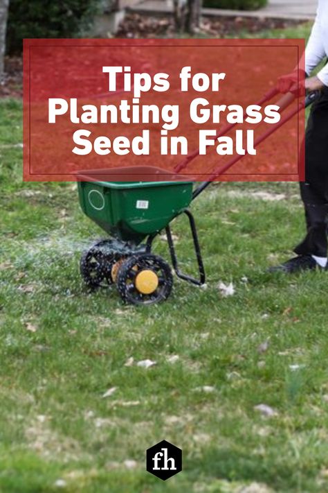 Can You Plant Grass Seed In The Fall, Fall Grass Maintenance, Best Time To Plant Grass Seed, Overseeding Lawn Fall, Planting Grass Seed Fall, How To Plant Grass Seed Lawn, Grass Seed Tips How To Grow, Best Grass Seed Lawn, When To Plant Grass Seed