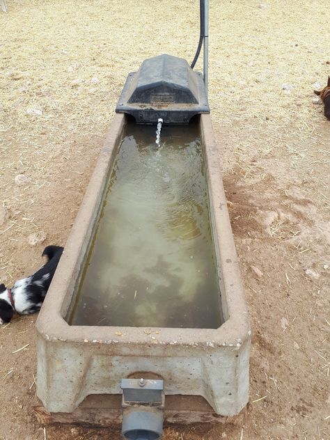 CROC Trough Pumping Systems Water Trough, Blue Green Algae, Green Algae, Healthy Water, Retro Fits, Water Intake, Local Farm, Water Softener, Pet Health