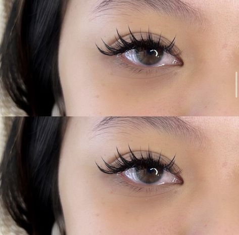 Monolid Lash Extensions, Asian Lash Extensions, Fairy Lashes, Bottom Lash Extensions, Natural Fake Eyelashes, Eyelash Extension Training, Lashes Fake Eyelashes, Cat Eye Lash, Lash Extensions Styles