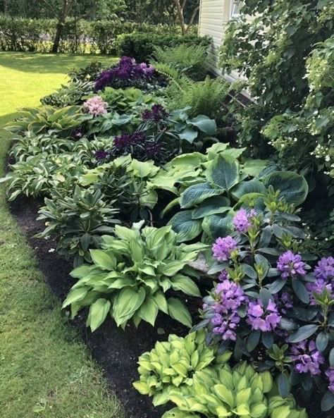 Shade Garden Plants, Front Garden Landscape, Hosta Gardens, Front Yard Garden Design, Front Landscaping, Landscaping With Large Rocks, Lawn And Landscape, Large Backyard, Ideas Backyard