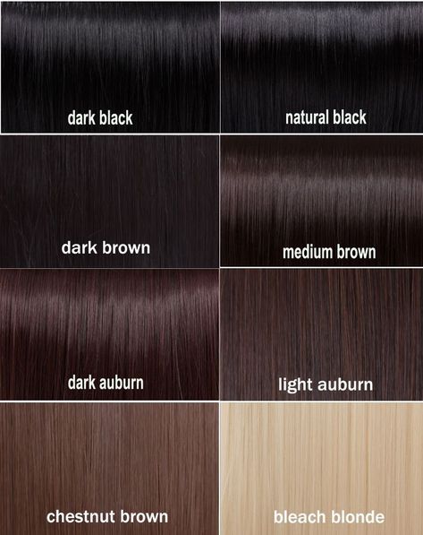 Black Hair Color Chart, Brown Hair Chart, Brown Black Hair Color, Brown Hair Color Chart, Hair Chart, Dark Chocolate Brown Hair, Platinum Hair Color, Black Brown Hair, Brown Hair Shades