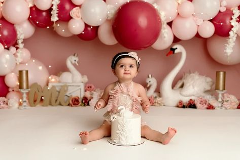 Swan First Birthday, First Birthday Cake Smash Photoshoot, Birthday Cake Smash Photoshoot, Cake Smash Inspiration, Diy Photography Props, Smash Cake Girl, First Birthday Cake Smash, Home Photo Shoots, Smash Cake Photoshoot