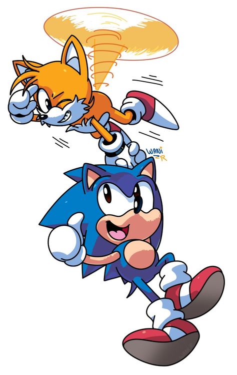 Sonic And Tails, Sonic Dash, Sonic Birthday, Classic Sonic, Sonic Fan Characters, Super Mario Art, Blue Hedgehog, Sonic Franchise, Mario Art