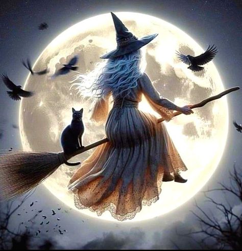 Vintage Halloween Art Witches, Witchy Cover Photos Facebook, Witch On A Broom, Halloween Witch Brooms, Witch Props, Witch On Broom, Witch Photos, Witch Flying, Baba Jaga