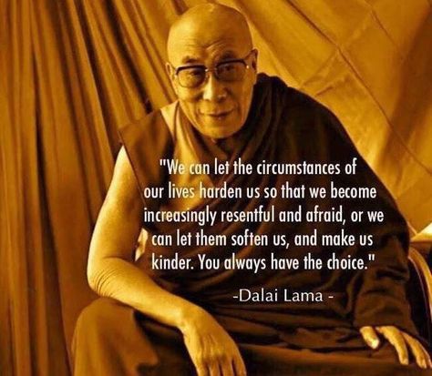 Inez shared from Twitter: "You always have the choice. #ChooseKindness Dali Lama, Lama Quotes, Dalai Lama Quotes, The Buddha, Aikido, Dalai Lama, Quotable Quotes, A Quote, Dali