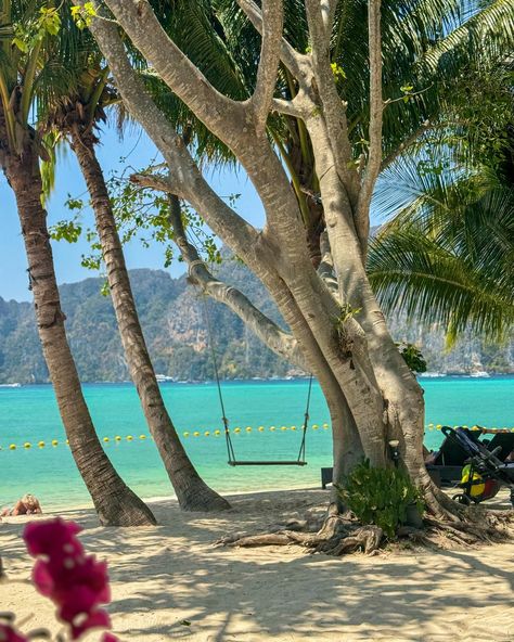 📍 Phi Phi Islands, Thailand 🇹🇭 . . . #longtailboat #thailand #phiphiisland #boattrip #travelgirlsgo #travelphotography #traveldiaries Thailand Beach Aesthetic, Phi Phi Island Thailand Aesthetic, Thailand Beaches Aesthetic, Thailand Aesthetic, Islands Thailand, Phi Phi Islands, Pucket Thailand Beaches, Phi Phi Island, Thailand Beaches