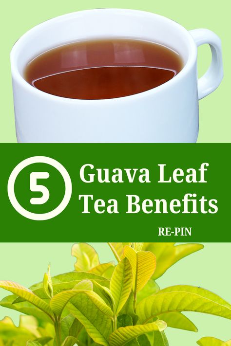 Guava leaf tea is made by steeping a few leaves from the guava plant in hot water. This herbal tea has long been used in traditional medicine and is prized for its health benefits such as inflammation reduction, blood glucose regulation, reproductive health support. Learn more about guava leaf tea bebefits! #guava  #guavatea #healthbenefitsofguava #guavaleaves #guavabenefits Guava Tea Benefits, Anti Inflammation Tea, Glucose Regulation, Quercetin Benefits, Wool Hairstyles, Guava Drink, Orange Peel Recipe, Bay Leaf Tea, Onion Benefits