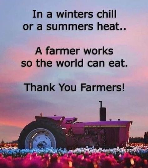 Thank You Farmers No Farmer No Food, Farmer Quote, Thank A Farmer, Farmer Quotes, Farm Facts, Pray For Them, Thank You Farmer, Let's Pray, Saving Quotes