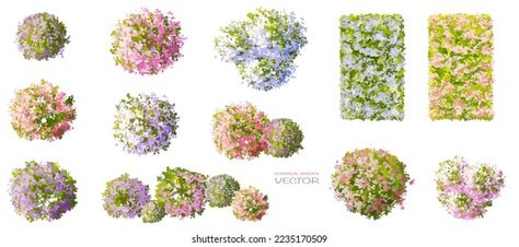 Vector watercolor blooming flower,tree or forest top view isolated on white background for landscape plan and architecture drawing,elements for environment and garden,botanical in spring Top View Flower, Garden Top View, Forest Top View, Plant Top View, Flowers Top View, Drawing Elements, Shrubs For Landscaping, Trees Top View, Tree Photoshop