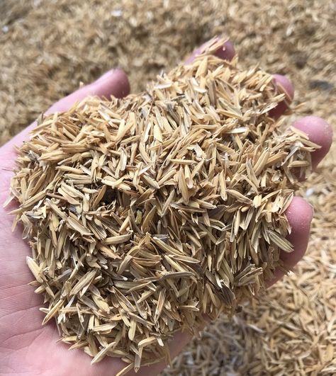 Rice Hulls, Rice Husk, Hydroponic Growing, Organic Compost, Farm Stuff, Organic Rice, Plant Protection, Sustainable Garden, Soil Improvement