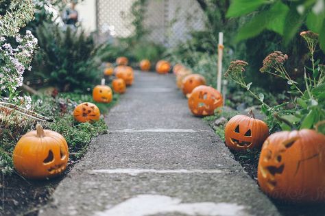 Halloween Outdoors, Pumpkin Carving Party, Rustic Wedding Chic, Practical Wedding, Rustic Fall Wedding, Wedding Lanterns, Fall Weddings, Rustic Chic Wedding, Oregon Wedding