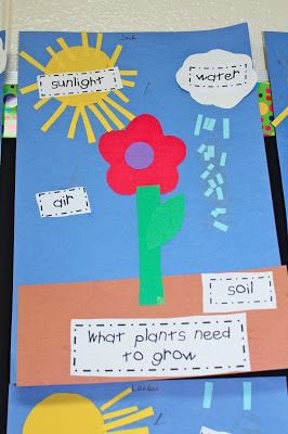 Planting In Preschool, Kinder Spring Activities, Plant And Garden Preschool Theme, What A Plant Needs To Grow Activity, How Plants Grow Preschool Craft, Toddler Plant Crafts, Basic Needs Of Plants And Animals, Planting And Gardening Preschool Crafts, Flower Theme Kindergarten