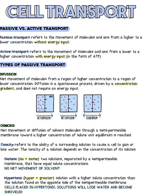 STEMthusiast | BIOLOGY NOTES Nat 5 Biology Notes, Lipids Notes Biology, Studying For Biology, High School Biology Notes, Active Transport Biology Notes, Cell Transport Notes, Cell Membrane Notes, Biology Cheat Sheet, Biology Revision Gcse