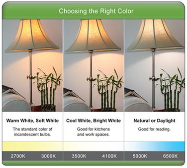 LED Light Bulb Brightness Scale & Color Charts | Bulb Guide Led Lightbulbs, Different Light Bulbs, Daylight Bulbs, Lightbulbs, Incandescent Lighting, Led Light Bulbs, Lamp Bulb, Energy Star, Led Light Bulb