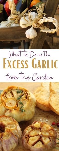 Things To Do With Garlic, Recipes With Lots Of Garlic, What To Do With Lots Of Garlic, What To Do With Extra Garlic, What To Do With Roasted Garlic, What To Do With Garlic, Freezing Garlic, Best Alfredo Sauce Recipe, Preserving Garlic