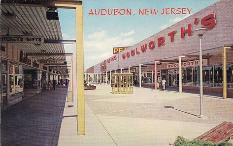 Black Horse Pike SC Audubon NJ | Postcard view of former Bla… | Flickr Vintage Mall, Ca History, Jersey Vintage, Long Beach California, Jersey Girl, Department Stores, Black Horse, Good Ole, Local History