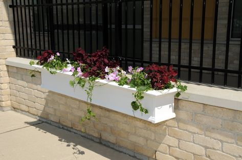 Yorkshire Self-Watering Plastic Window Box Planter - up to 7 feet long White Window Boxes, Wooden Window Boxes, Wood Window Boxes, Wall Pots, Window Planter, Home Pottery, Window Planters, Pottery Pots, Plastic Window