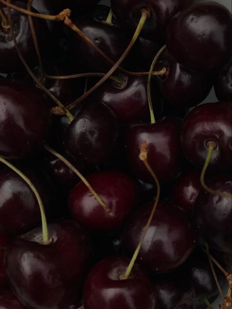 I m in love right now with photos by playing with exposure Dark Cherry Astethic, Cherry Fruit Aesthetic, Black Cherry Wallpaper, Cherry Widget, Black Cherry Aesthetic, Cherry Astethic, Cherry Vibes, Darkest Academia, Aesthetic Fruit