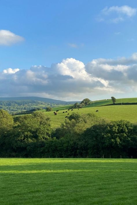 #cottagecore #aesthetic #greenery #cows #clouds #green #nature #blue #plants #trees #cottageaesthetic #cottage #dream #animals #wallpaper #hdwallpaper #Devon #UK #mountain #field #countryside #getaway #holiday #peace #pinterest #pinterestideas #idea #art #love #pinterestphoto #photooftheday #photography #inspiration #painting #designideas #design #artwork Lia Core, Cityscape Drawing, Romantic Cottagecore, Grass Wallpaper, Meditation Garden, Vintage Flowers Wallpaper, Devon Uk, Buzzard, Cottagecore Aesthetic