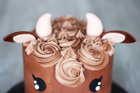 Brown Cow Cake, Cake 2022, Cow Cake, Cow Cakes, Brown Cow, Custom Cakes, Decorating Ideas, Cow, Cake