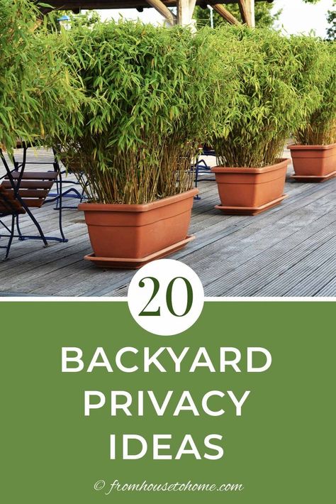 Patio Plants For Privacy, Best Plants For Privacy Screen, Plants For Privacy On Deck, Deck Privacy Ideas With Plants, Yard Privacy Ideas Cheap, Plant Screening Ideas Outdoor, Plant Fence Ideas, Outdoor Privacy Ideas Inexpensive, Front Porch Privacy Ideas