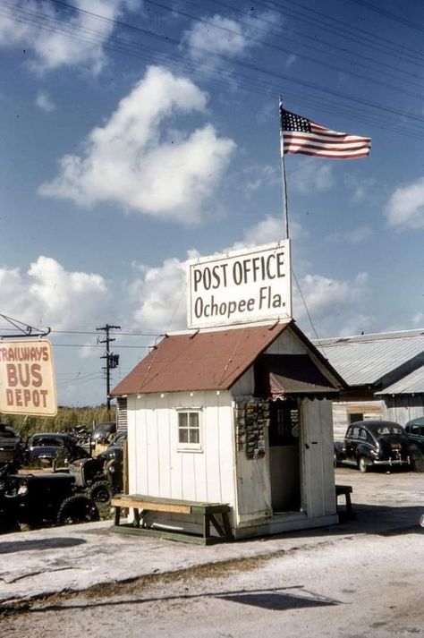 Florida History | Heading back up north after a 1950s Florida road trip | Facebook Florida 1950s, Rural Florida, Florida Gothic, Florida Road Trip, 1950s Aesthetic, Singer Aesthetic, Shoot Moodboard, Florida History, Florida Life