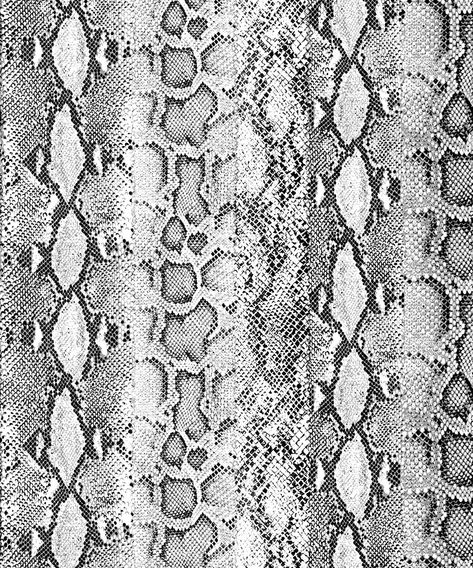 Snake Skin Aesthetic, Cameron Core, Tropical Prints Pattern, Joshua Tree House, Animal Print Background, Animal Print Wallpaper, Snake Skin Pattern, Animals Print, Apartment Layout