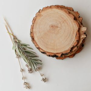 Wood Placemats, Coasters Wood, Habitat For Humanity Restore, Christmas House Lights, Willow Wood, Photography Styling, Decorative Tiles, Wood Doors Interior, Wood Slices