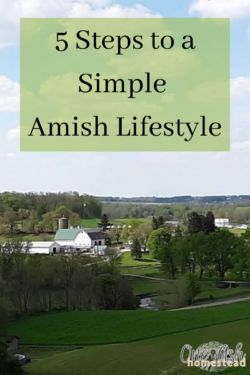 Pioneer Lifestyle, Amish Lifestyle, Amish Books, Dutch Lifestyle, Amish Culture, Natural Toothpaste, All The Small Things, Simpler Lifestyle, Life Experience